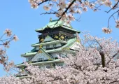 大阪櫻花 2025 🌸日本大阪櫻花季開花預測、必去大阪賞櫻景點、一日遊推介🌸