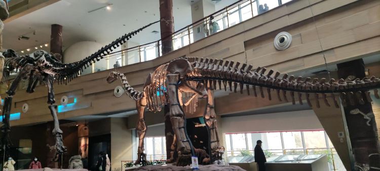 Hefei Science and Technology Museum