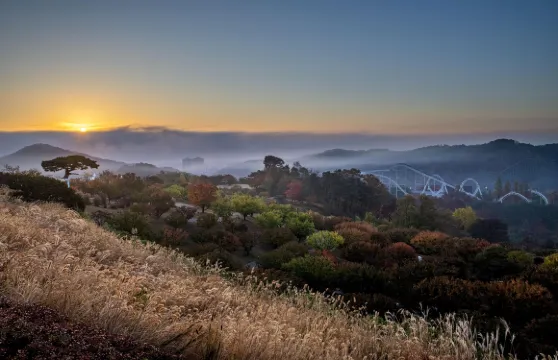 景點接送 首爾來回愛寶樂園接駁巴士（弘益大學/新村站/首爾站/線鐘路/明洞/東大門多站點）