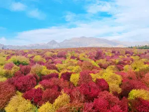 이리 천산 화해 관광지