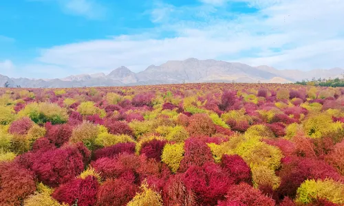 Yili Tianshan Huahai Scenic Area