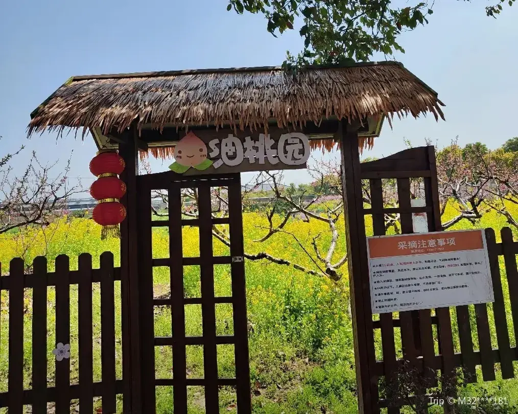 2_上海方圓生態農業觀光園