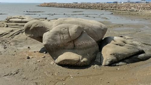 Tortoise Stone Beach