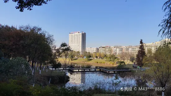 安陸德安植物公園