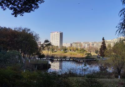 安陸德安植物公園