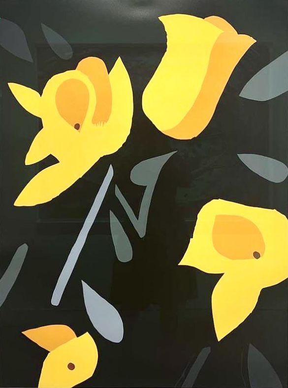 【德國紐倫堡】《亞歷克斯·卡茨Freesia Flowers新圖文版》展覽 | 紐倫堡