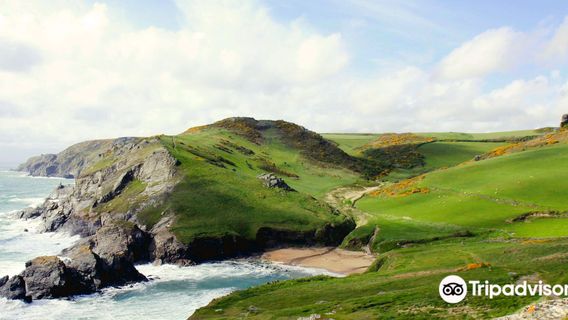 South Devon National Landscape