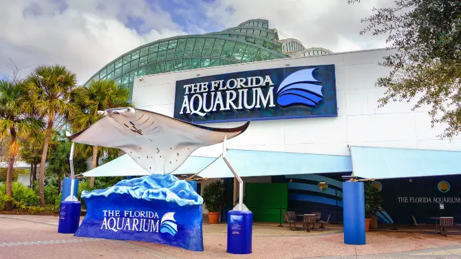 5_The Florida Aquarium