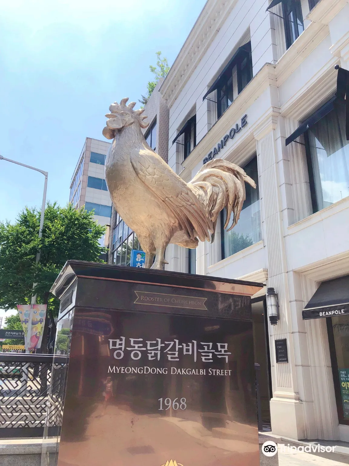 Chuncheon Dakgalbi Street