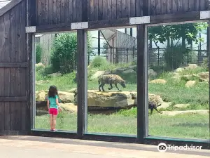 Keystone Safari