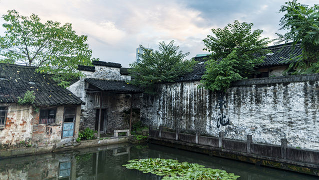 shu sheng gu li - mo chi