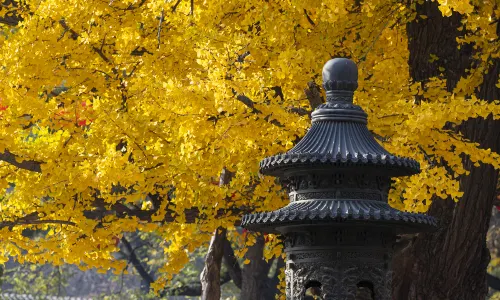 Badachu Park