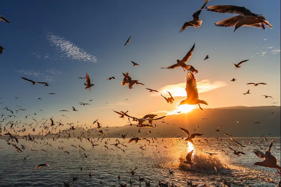 2_Dianchi Lake