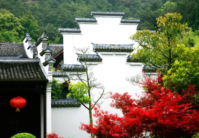 Maple Leaf Viewing in Ningbo