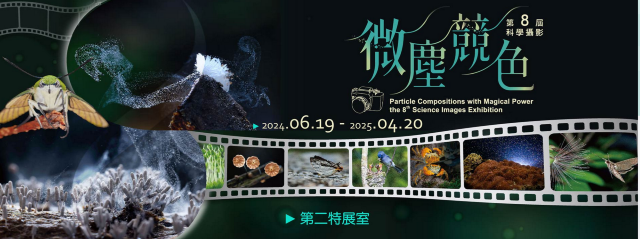 《微塵競色》第8屆科學攝影展 | 台中