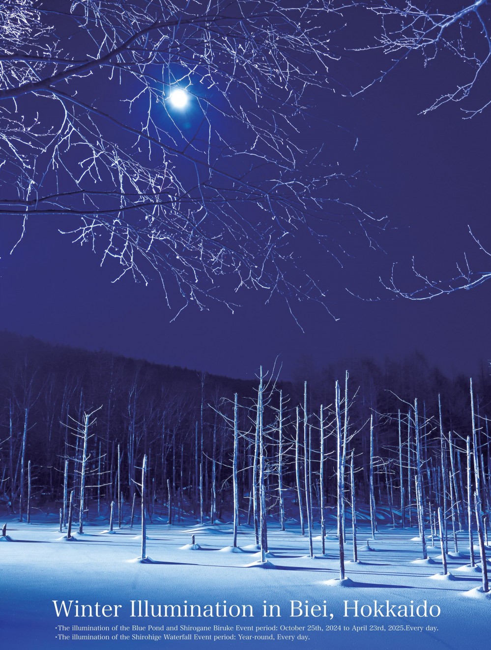 Winter Illumination in Biei | Biei