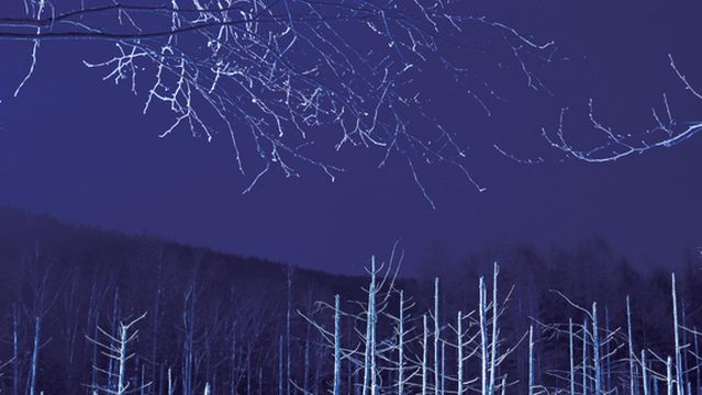 Winter Illumination in Biei