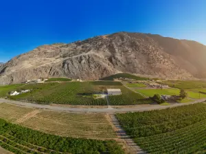 Clos du Soleil Winery