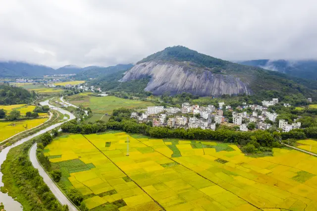 Rapeseed Flower Viewing in Zhaoqing