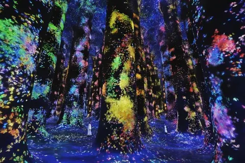 teamLab Phenomena Abu Dhabi