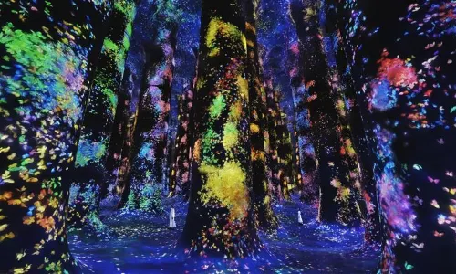 teamLab Phenomena Abu Dhabi