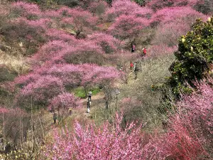 Laojunshan Mountain Scenic Spot