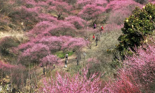 Laojun Mountain Scenic Spot