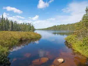 Lake of the Woods