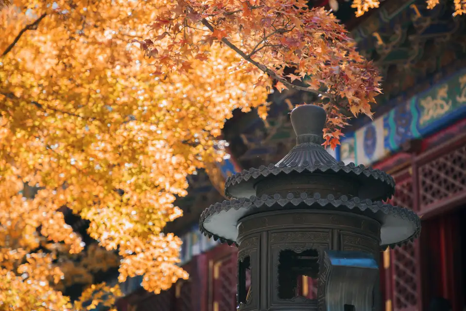 5_Xiangshan Park