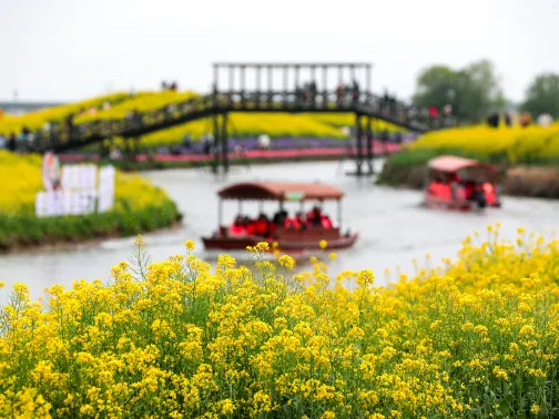 高郵·湖上花海