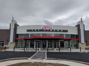 AMC 309 Cinema 9