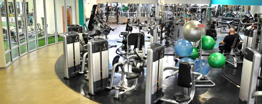 VIVE Health & Fitness