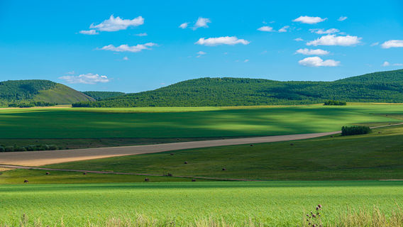 xi lin guo le da cao yuan