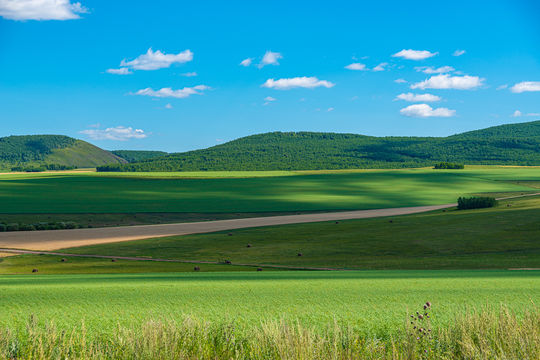 Xilingol Grassland
