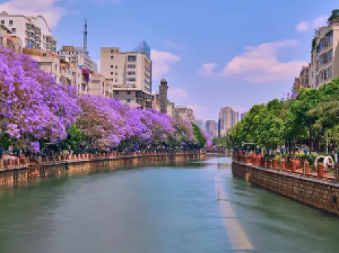 Jacaranda Theme Park