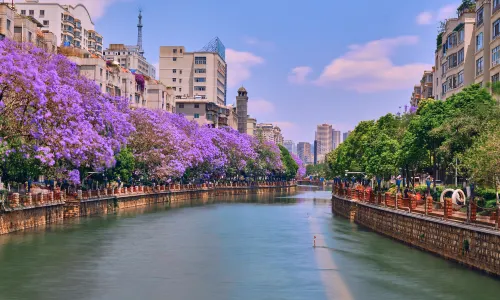 สวนสาธารณะดอกจาคารันดา