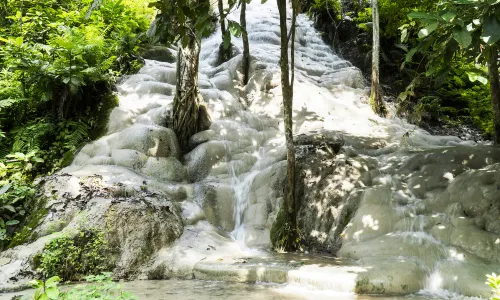 Namtok Bua Tong-Nam Phu Chet Si National Park