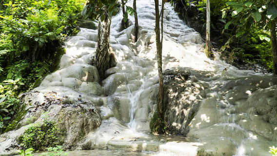 Namtok Bua Tong-Nam Phu Chet Si National Park