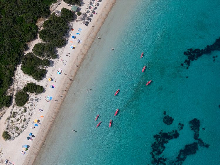 Olbia