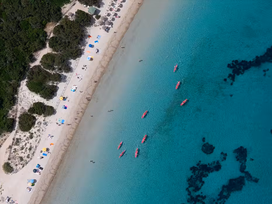 ${{cityDName}} to Olbia Flights