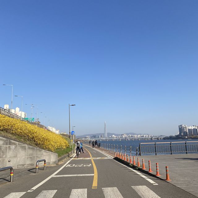 서울숲에서 산책하기