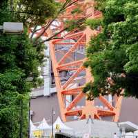 新緑の東京タワー