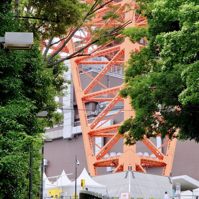 新緑の東京タワー