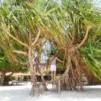 Pari Island - Crystal Clear Beach!