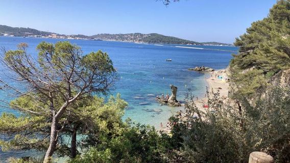 Plage de la Mître