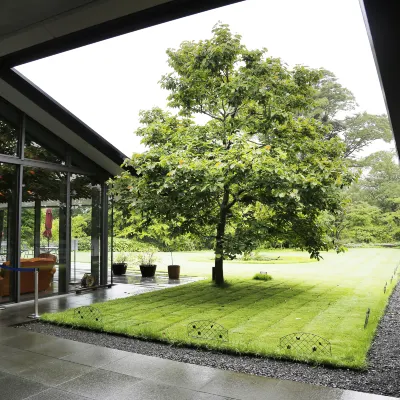 2-звездочные отели в г. Хаяма