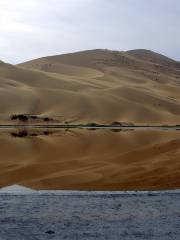중국 알라샨 사막 세계 지질 박물관