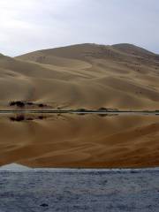 中國阿拉善沙漠世界地質博物館