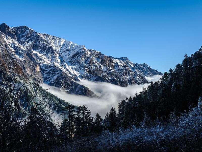 Hailuogou Glacier Forest Park