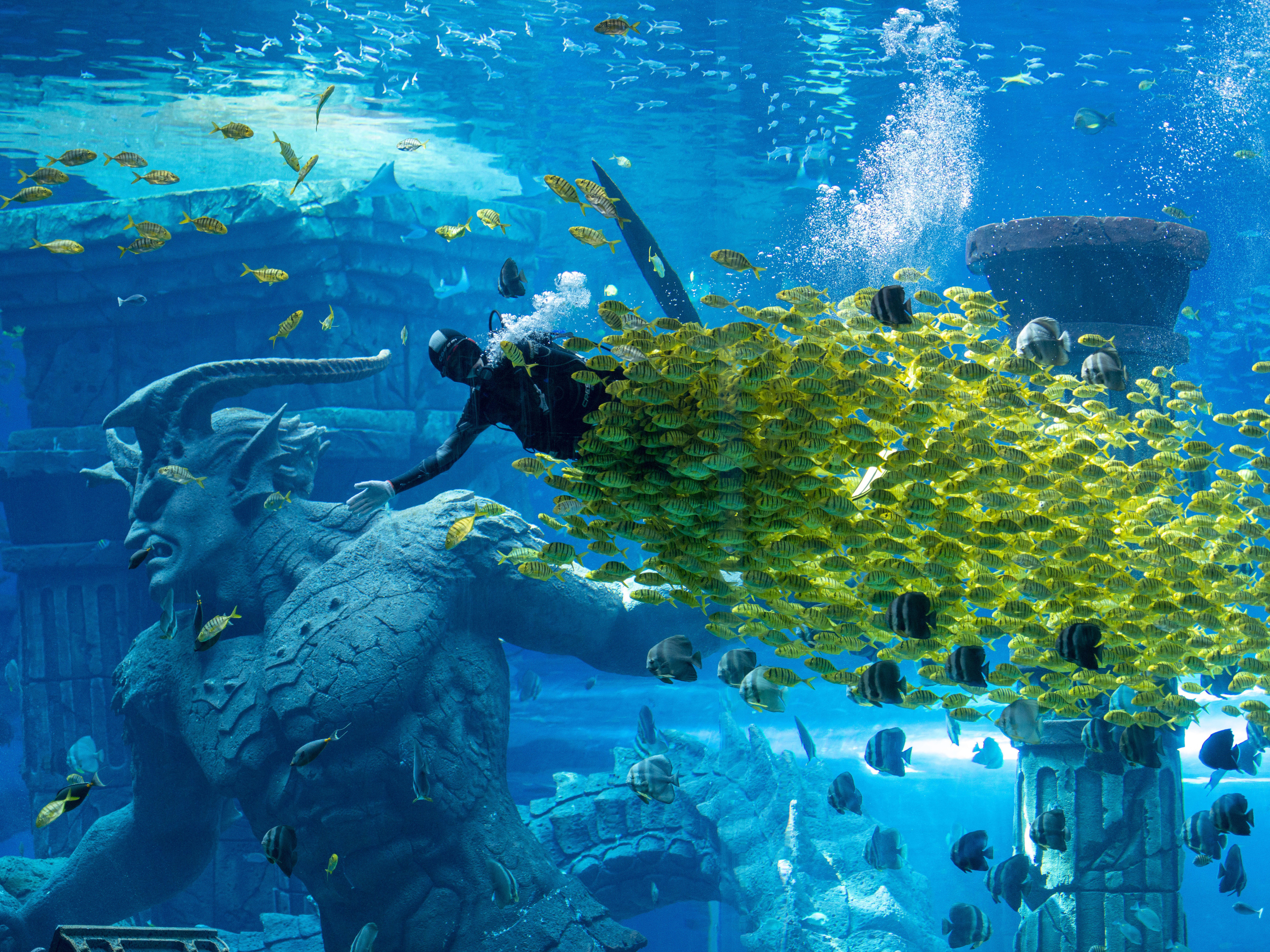 Poseidon Underwater World Tickets [2025] Promos, Prices, Reviews